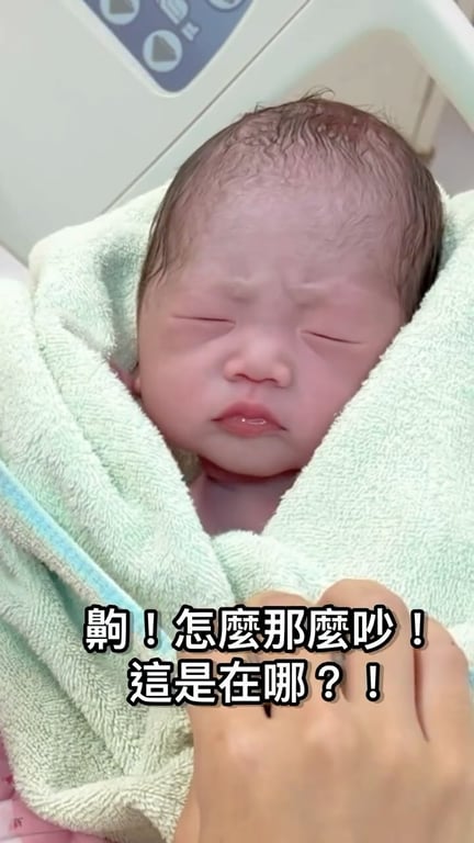 王淑惠