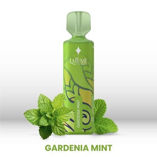 LaFume Aurora - Gardenia Mint