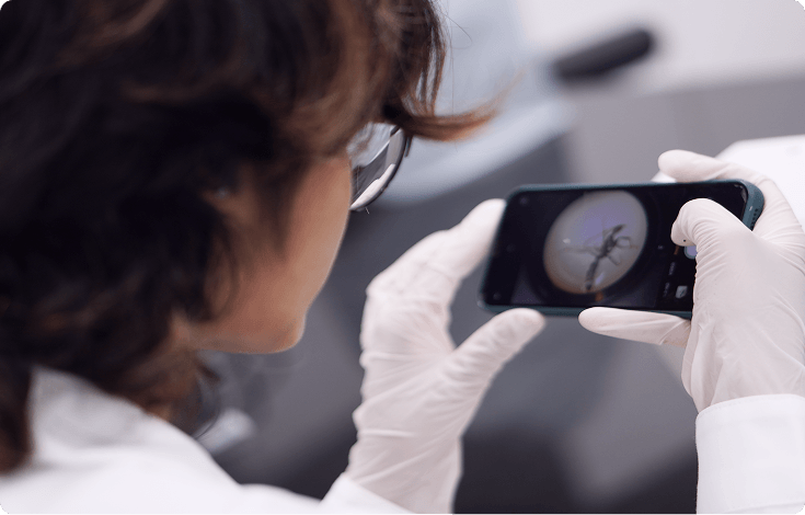 Doctoral Programmes