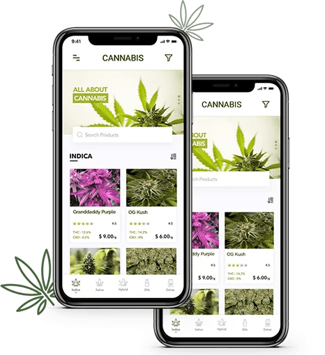User App Features Cannabis Delivery Development