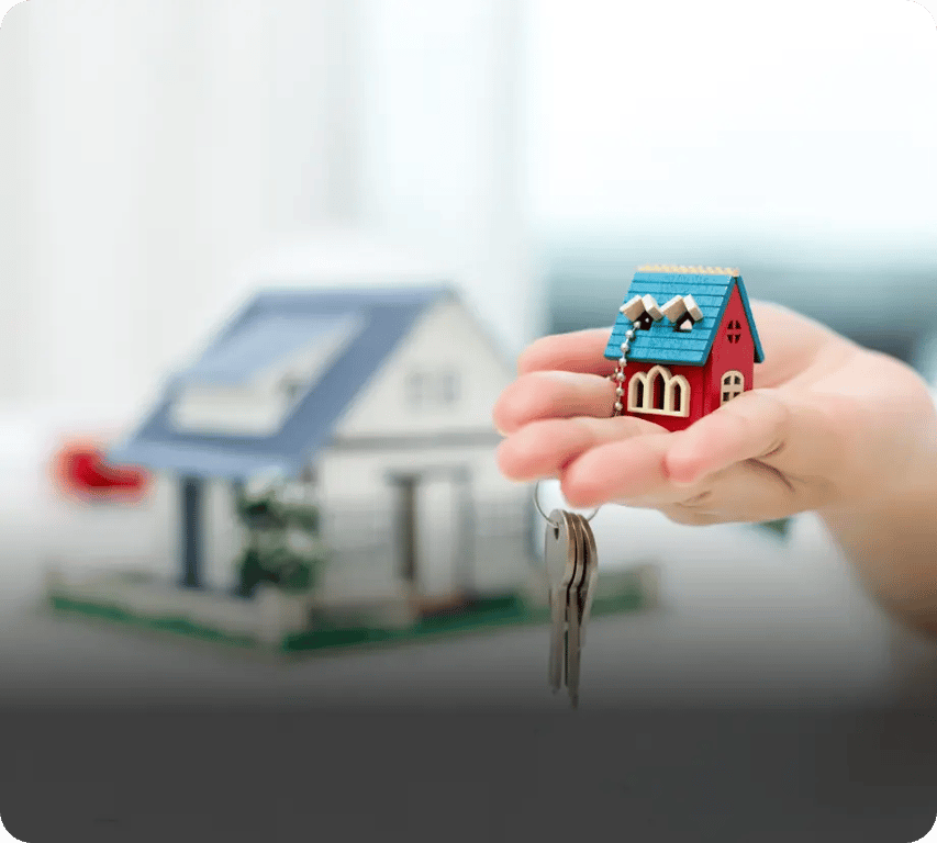 Real Estate Solution