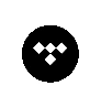 Tidal-like App Development