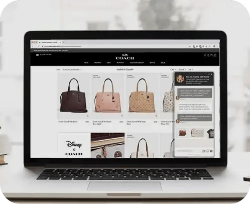 E-Commerce Web Designs