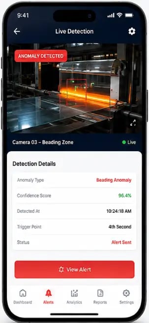 Anomaly Detection System