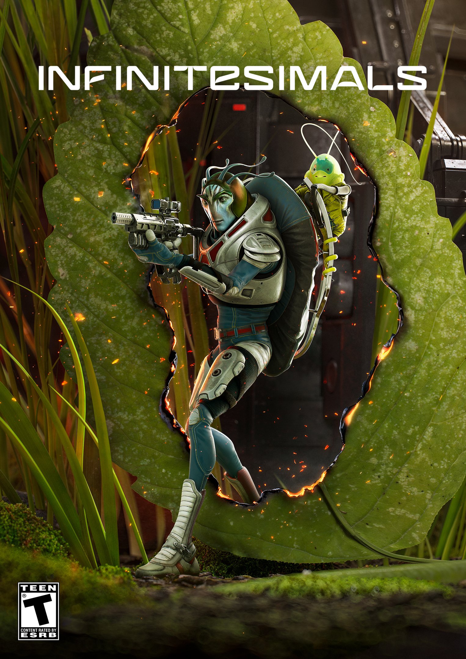 Infinitesimals Box Art