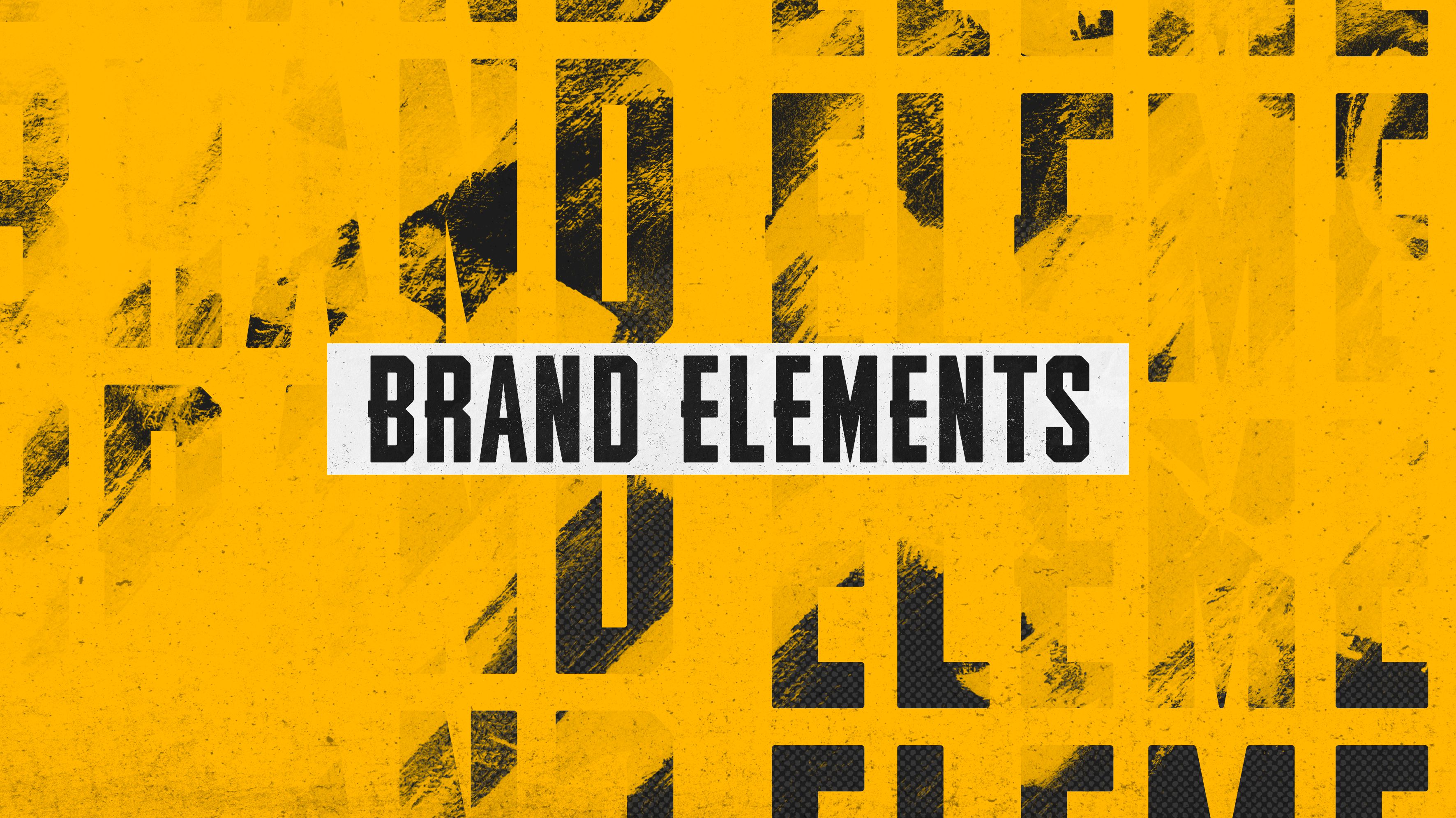 PUBG Battlegrounds Branding