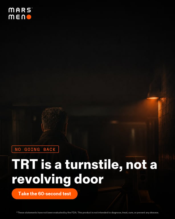 53_oneway_turnstile