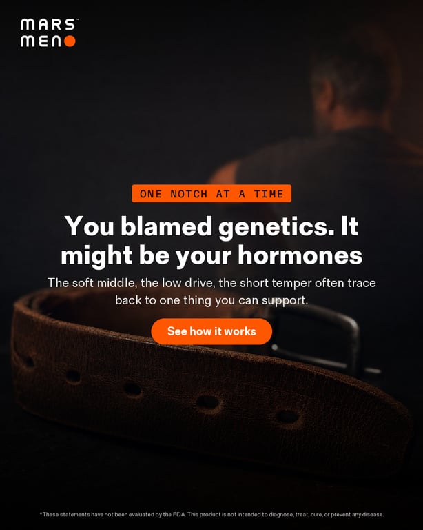 17_norm_belt