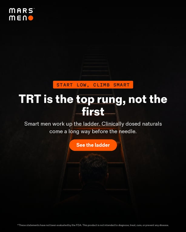 09_ladder_rung