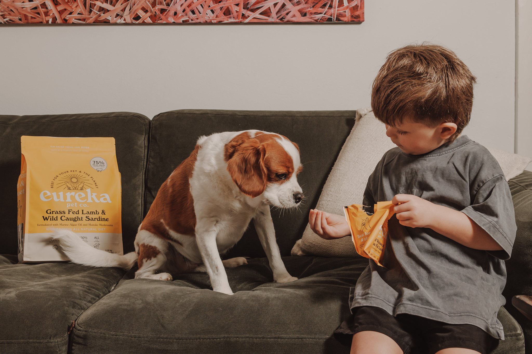 A boy opening a Eureka sample on the couch while his cavalier waits, a Grass Fed Lamb and Wild Caught Sardine bag beside them