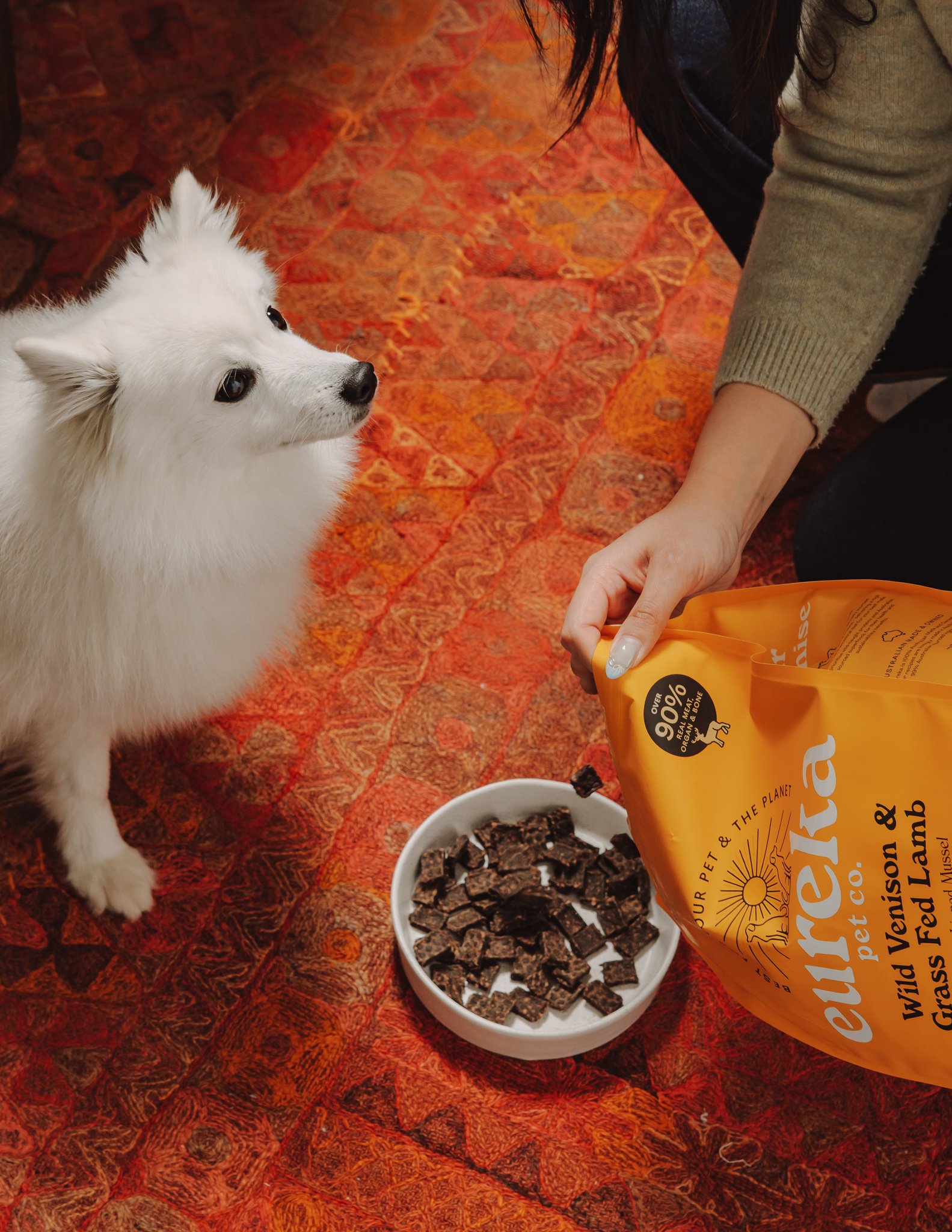 A Eureka bag being poured into a white bowl in a living room while a kelpie watches