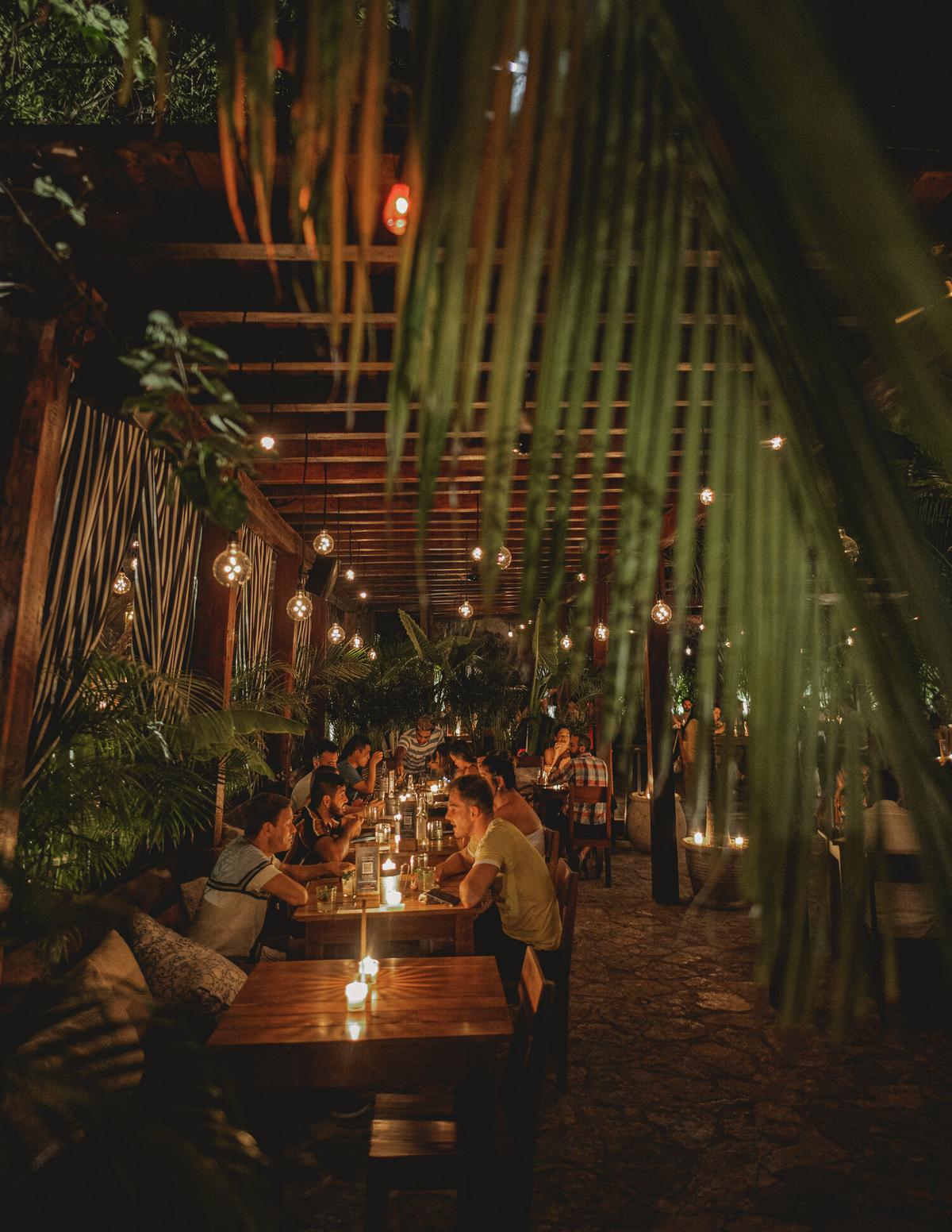 Gitano Jungle