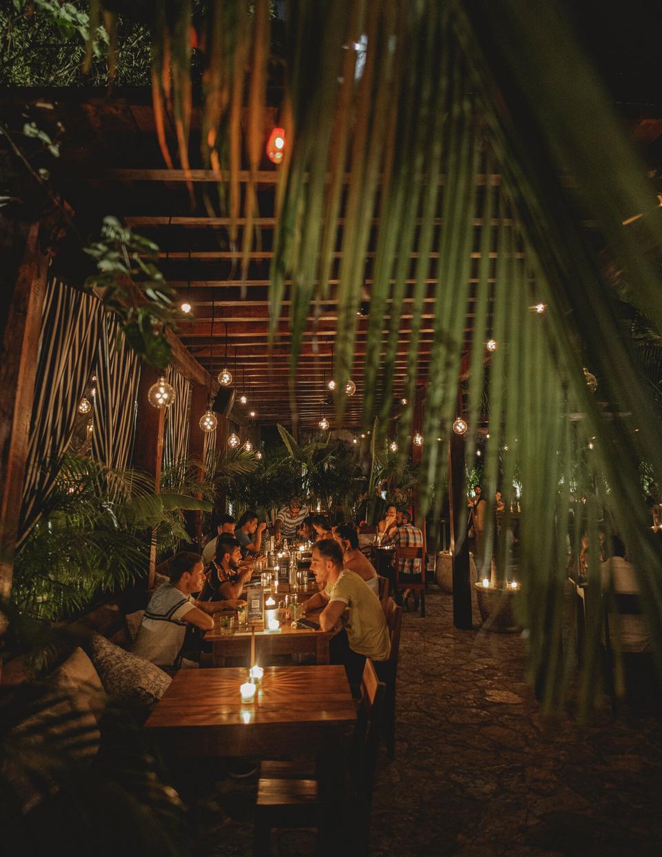 Outdoor jungle restaurant dining area with guests at candlelit tables beneath hanging bulbs, creating a warm evening mood.