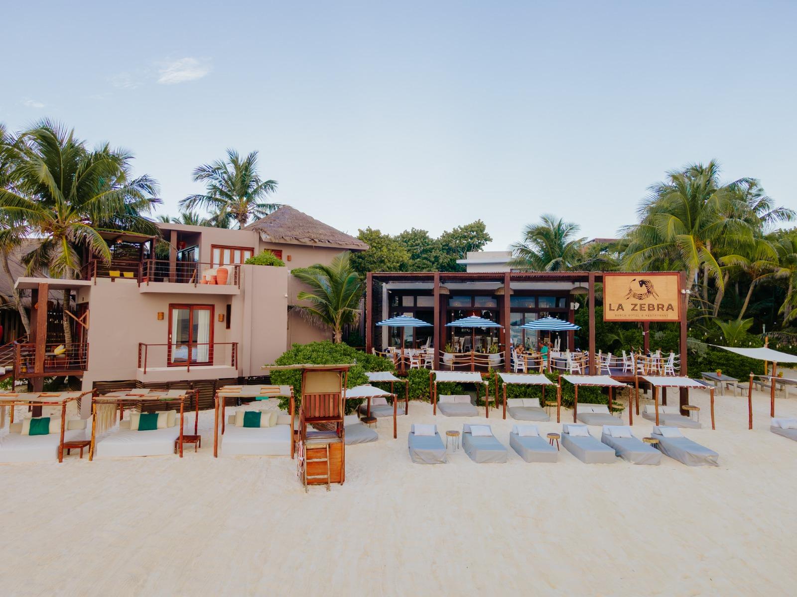 La Zebra Mediterranean beach club with terrace seating under blue umbrellas, lounge chairs on white sand, and palm trees