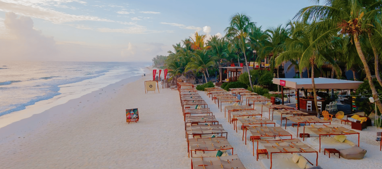 * Includes "La Zebra"? Yes ("at La Zebra beach club in Tulum"). 5.