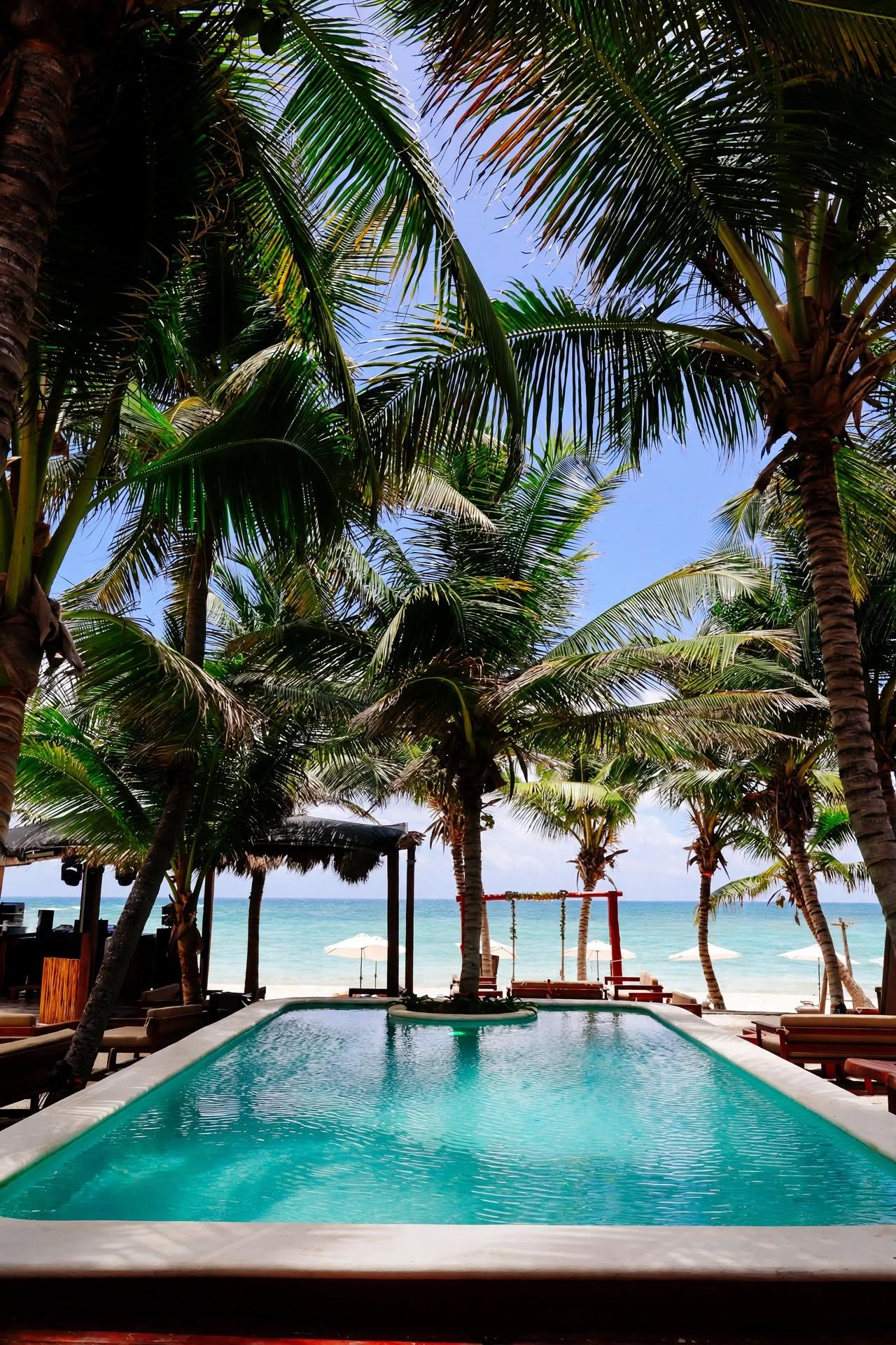 Tulumania’s pool overlooks a palm-lined beach and turquoise sea under a clear sky.