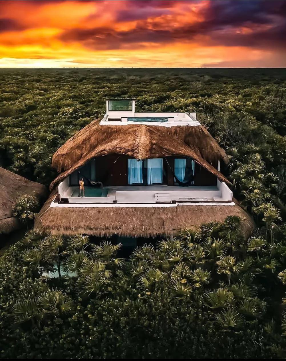 Papaya Playa Project