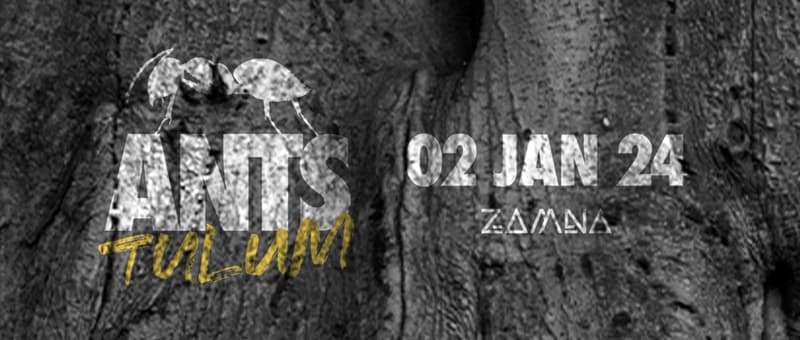 ants tulum flyer for zamna