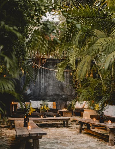 Gitano Jungle