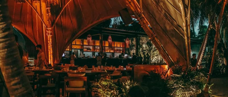 vagalume nye party tulum 2024