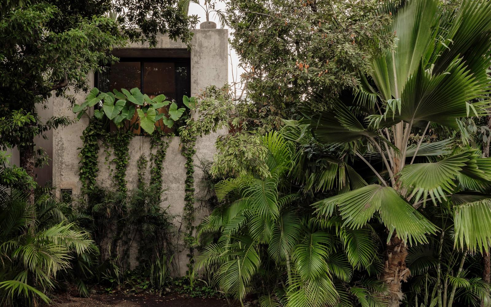 Casa Aviv, private villa in Tulum