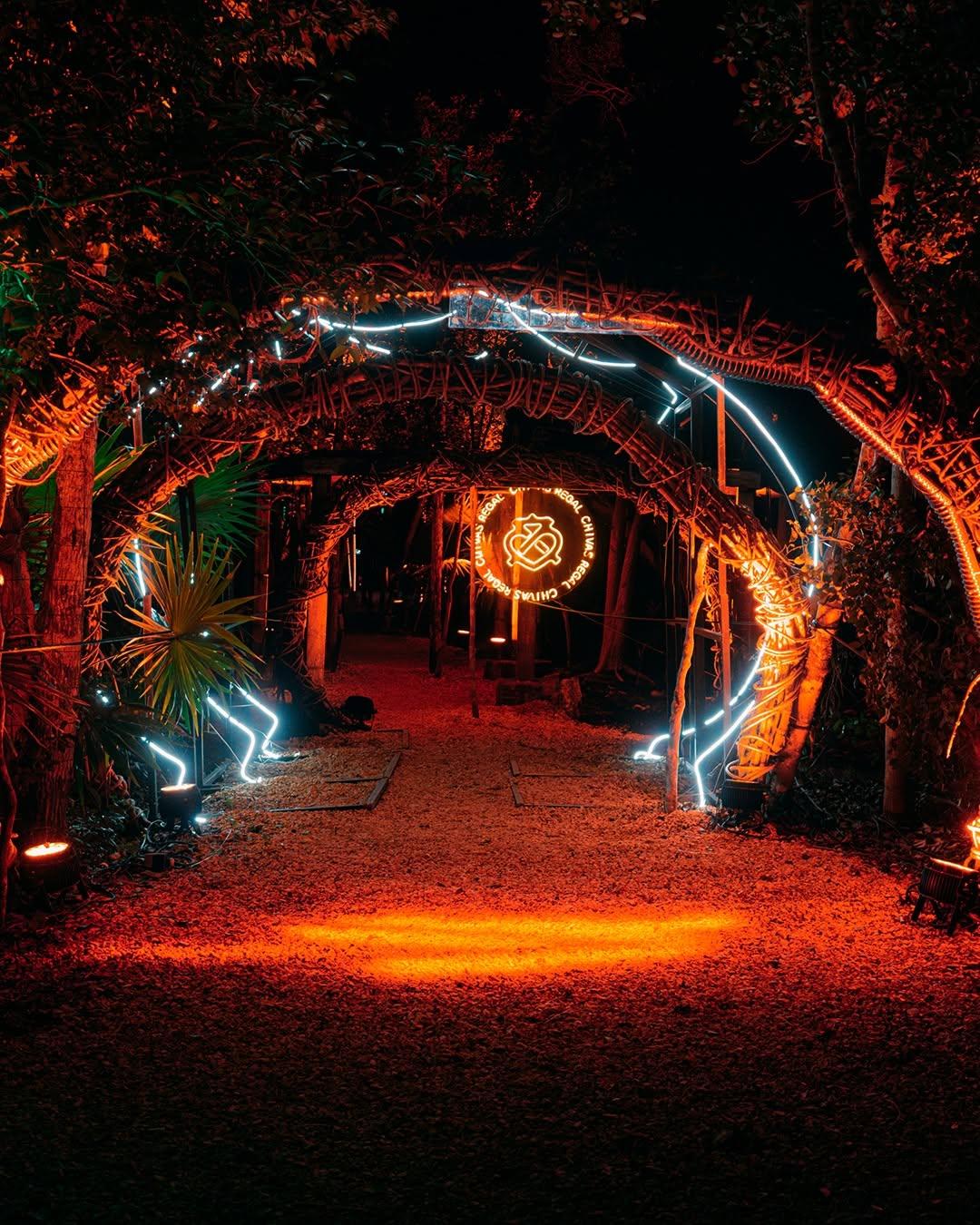 Neon-lit jungle walkway with woven arches and a glowing signs at tehmplo.