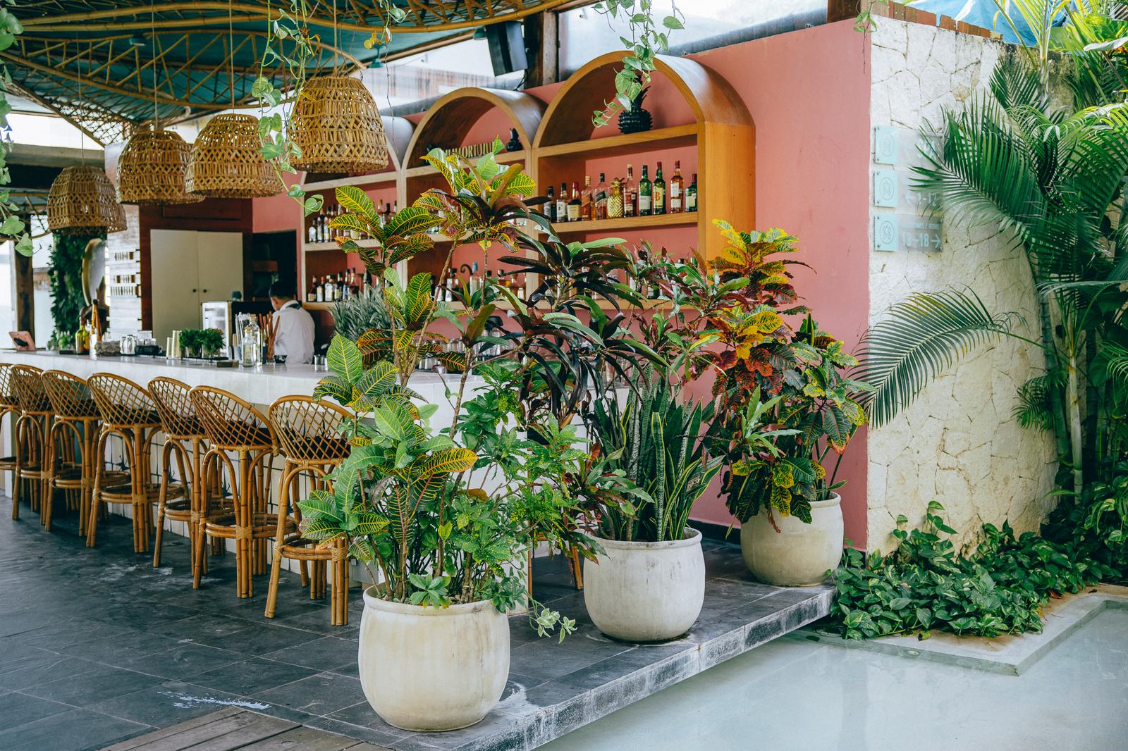 Potted plants frame the open-air bar at Mi Amor with woven pendant lights, pink arched shelves, and wicker barstools.