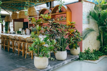 Potted plants frame the open-air bar at Mi Amor with woven pendant lights, pink arched shelves, and wicker barstools.