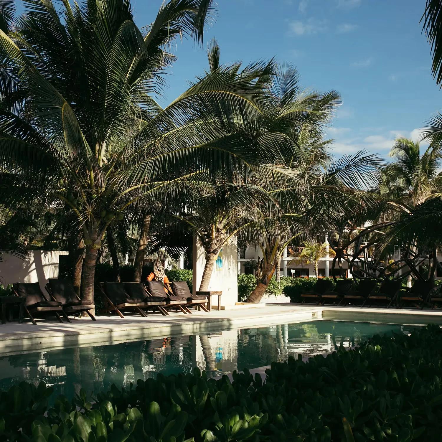 Mia Beach Club