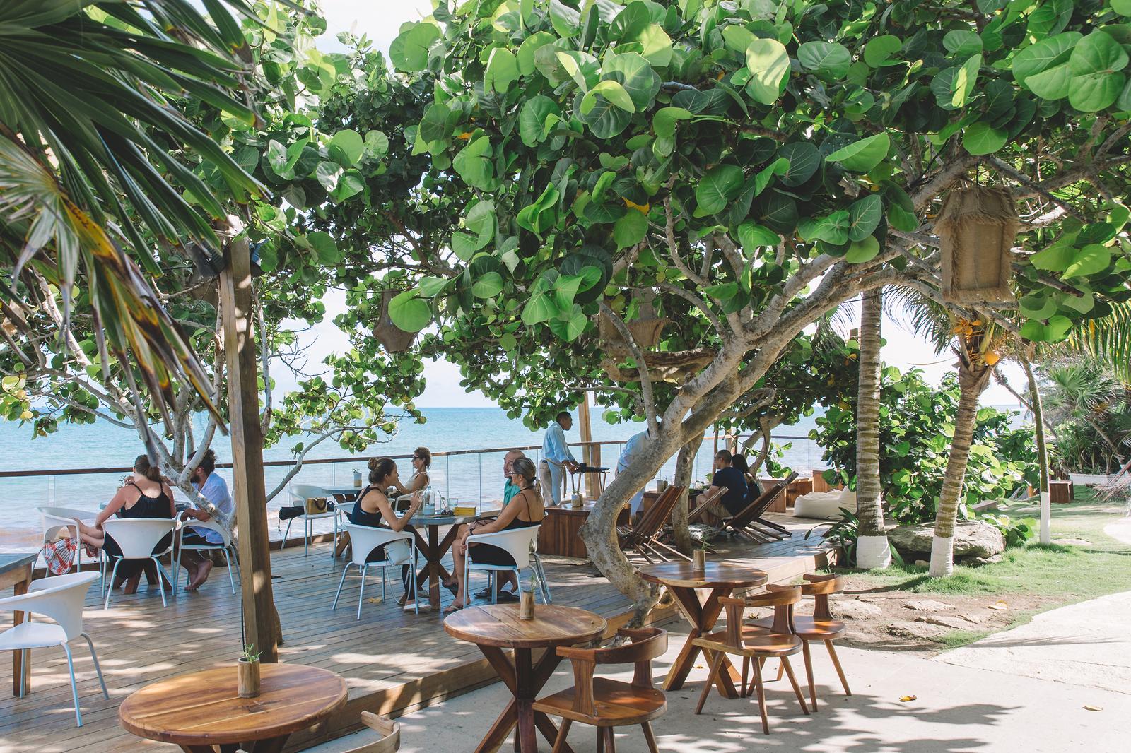 Mezzanine beachfront terrace with wooden tables shaded by large trees, guests dining and relaxing with ocean view