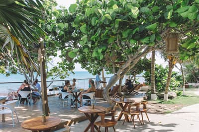 Mezzanine beachfront terrace with wooden tables shaded by large trees, guests dining and relaxing with ocean view
