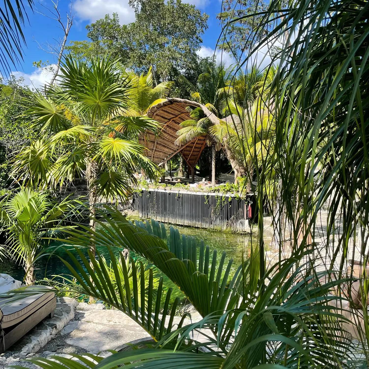 Vesica Cenote