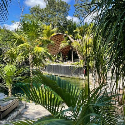 Vesica Cenote