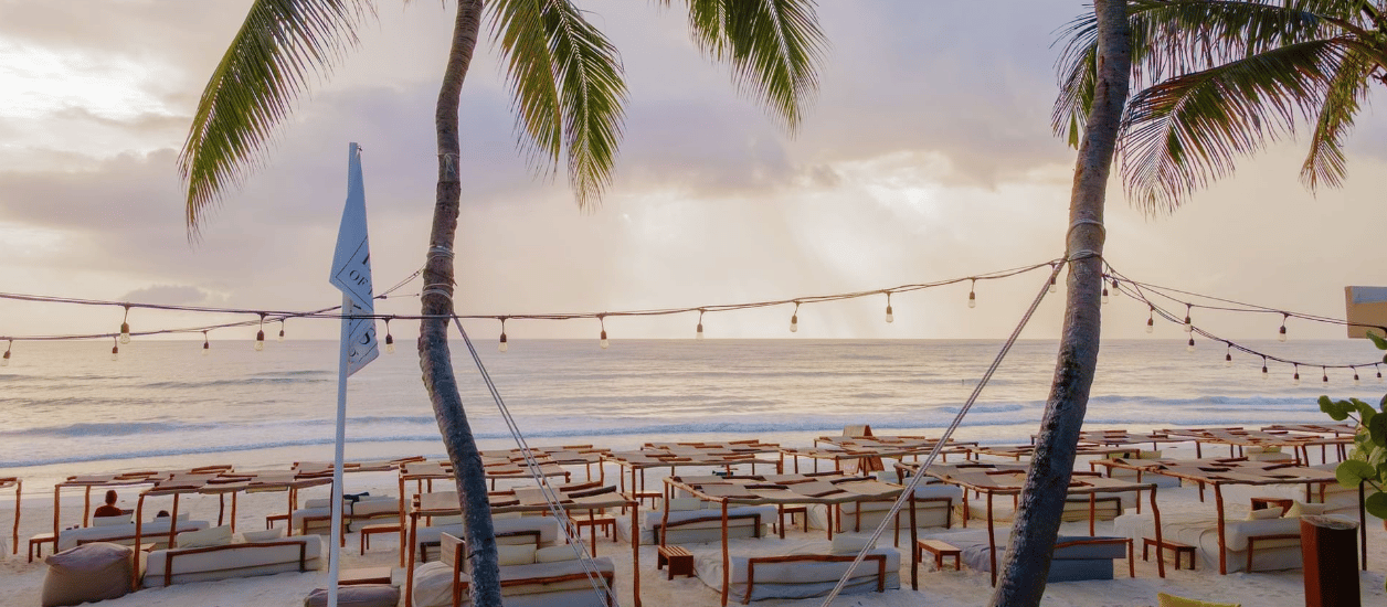 Palm trees frame rows of beach daybeds on the sandy shore at La Zebra, looking out toward a calm ocean. (
