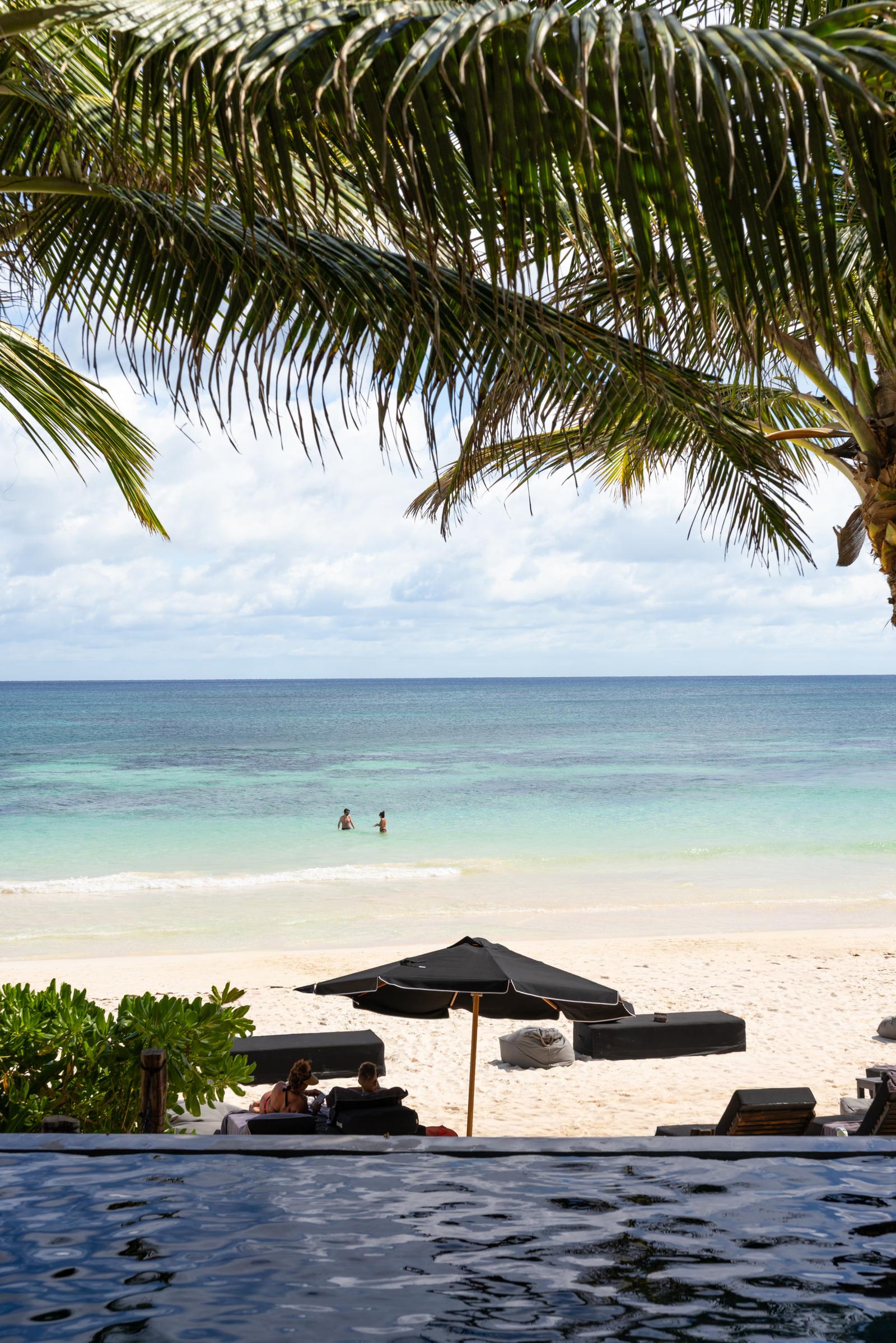 Umi Beachclub pool overlooks a sandy tropical beach, turquoise sea, palm trees, loungers and a few swimmers.