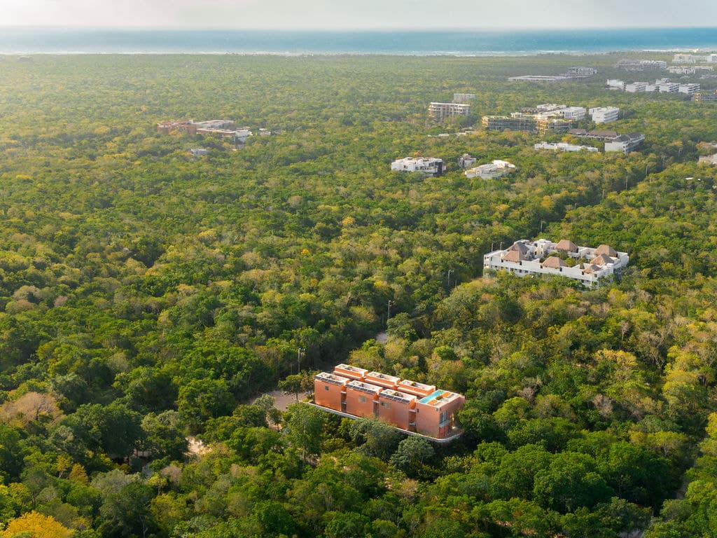 The house in its jungle setting west of Tulum town