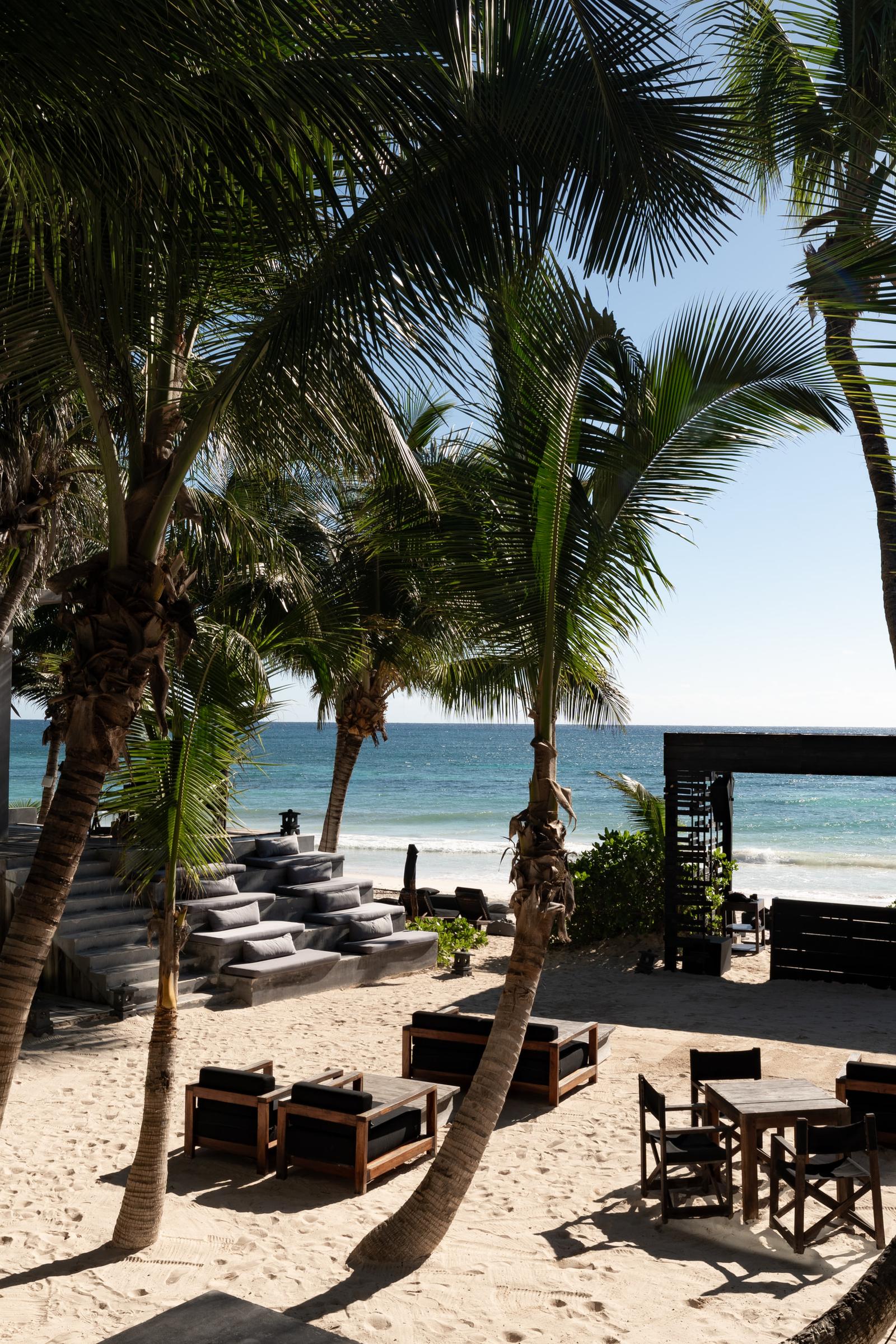 Palm trees shade lounge seating and tables on a sandy beach beside calm blue ocean waters.