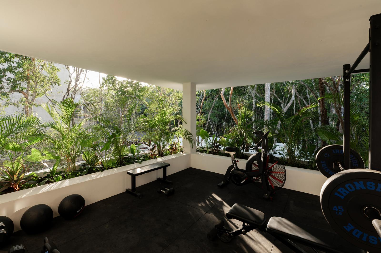 Gym looking out into the jungle