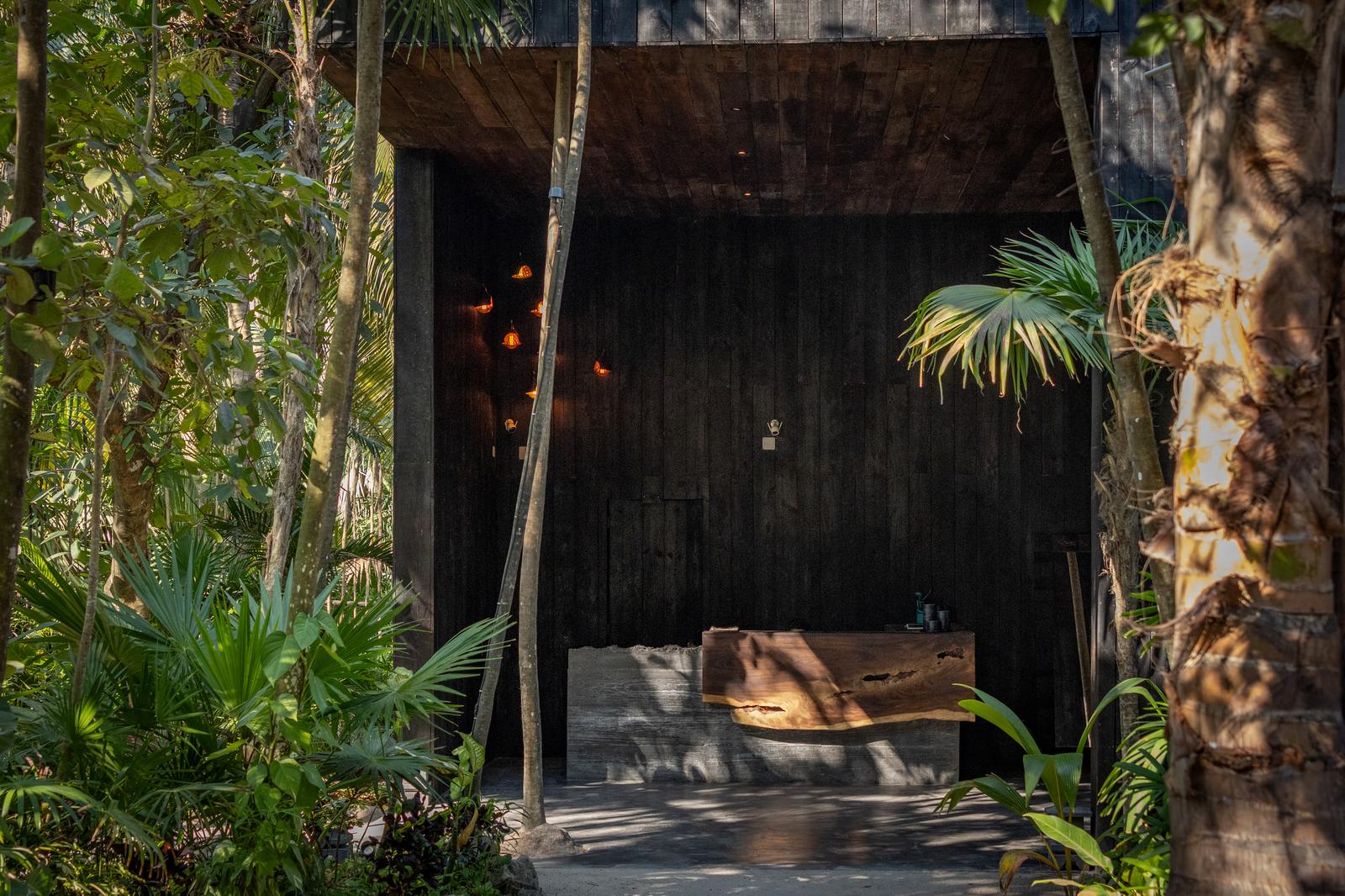 Dark wooden Umi Beachclub entrance surrounded by tropical plants, with warm pendant lights creating a calm, secluded mood.