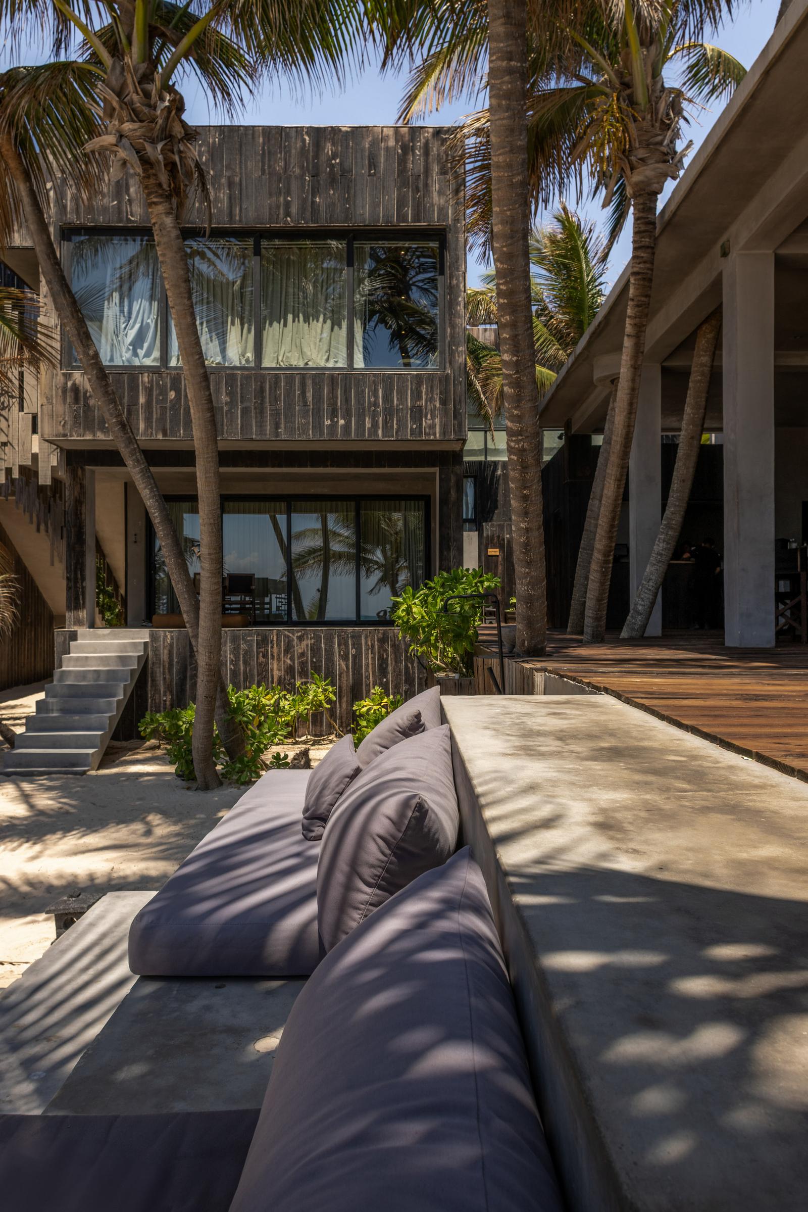 Modern beachfront building with dark wood facade and large windows, surrounded by palm trees and lounge seating on sunny