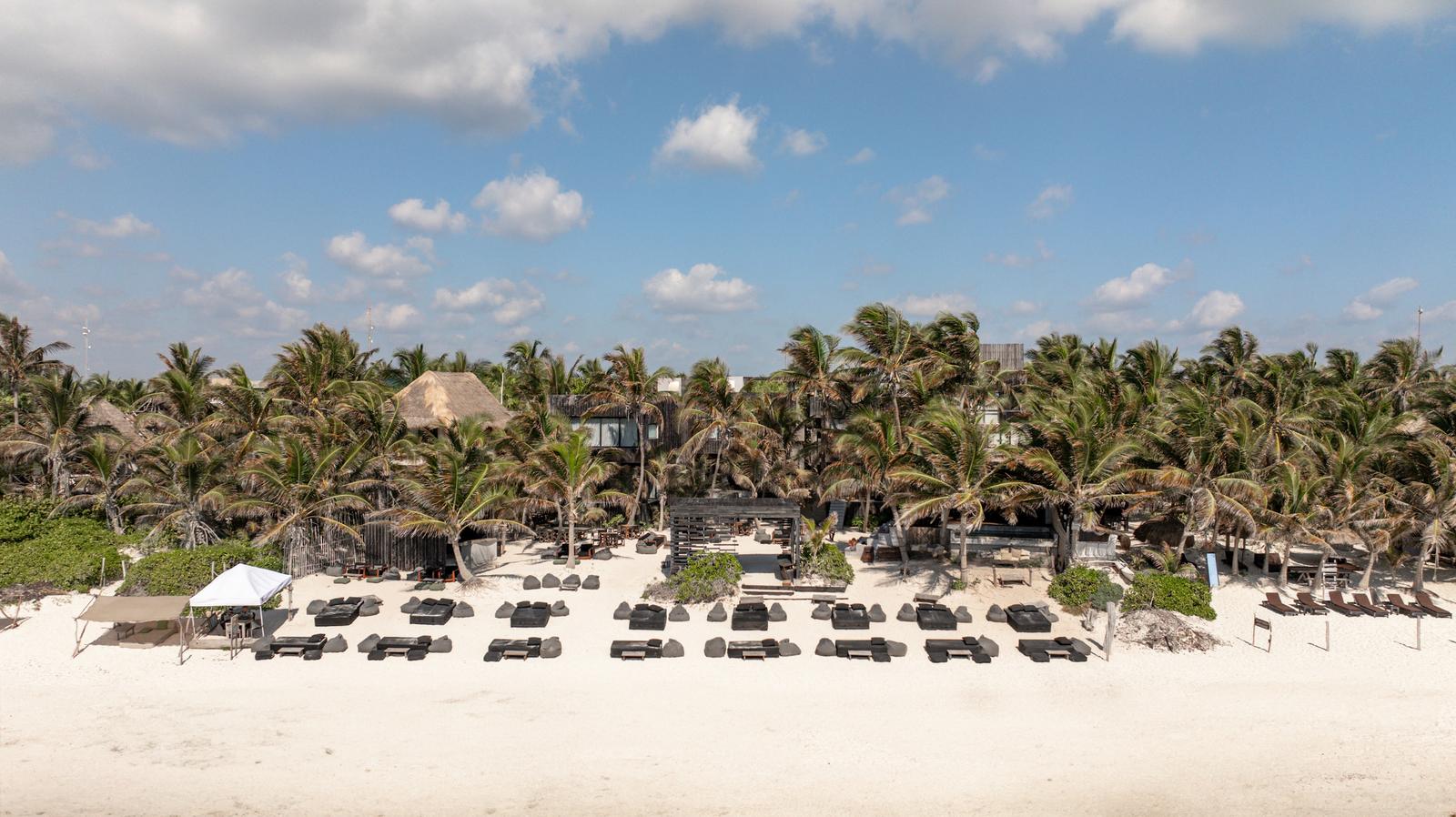 Umi Beachclub’s beachfront loungers and palm trees under a blue sky create a relaxed coastal setting.