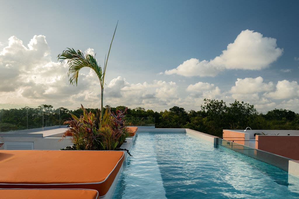 Rooftop lap pool at Palma y Arco looking out over the treeline