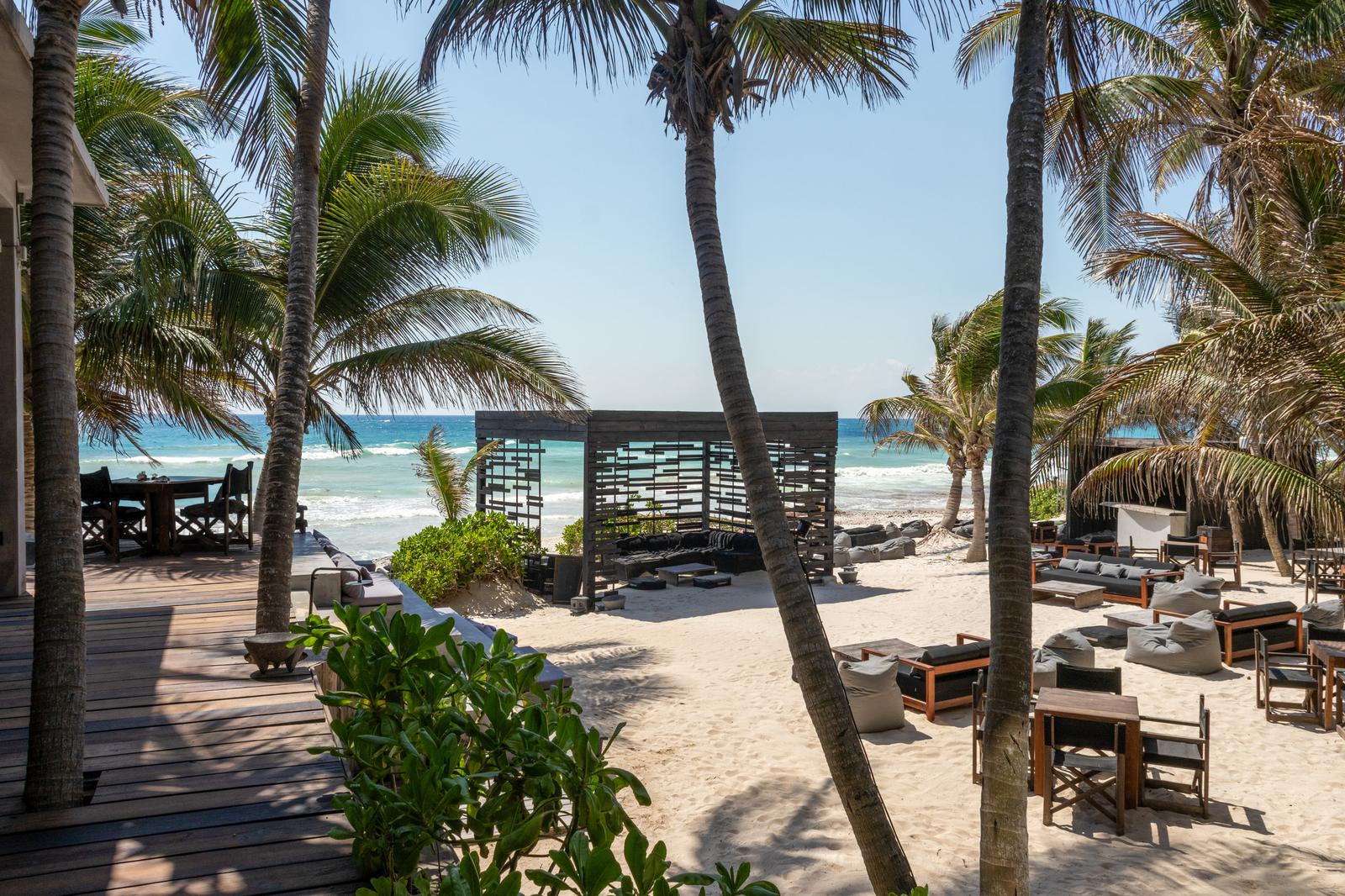 Umi Beachclub’s sandy beachfront lounge with palm trees, outdoor seating, and ocean waves in bright daylight