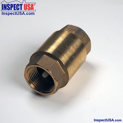 Check Valve 3/4" Brass (79128) Integrated Sensing Platform