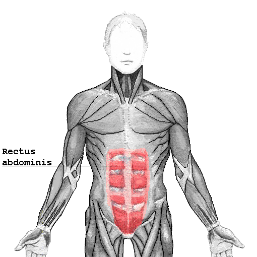 Inguinal Region — MRCS Part B Anatomy