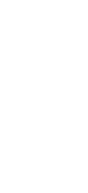 Lower Limb