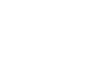 Upper Limb