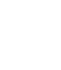 Pelvis and Spine