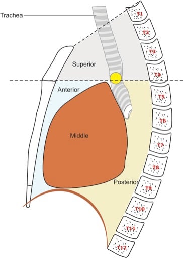 Mediastinum 1 — MRCS Part B Anatomy