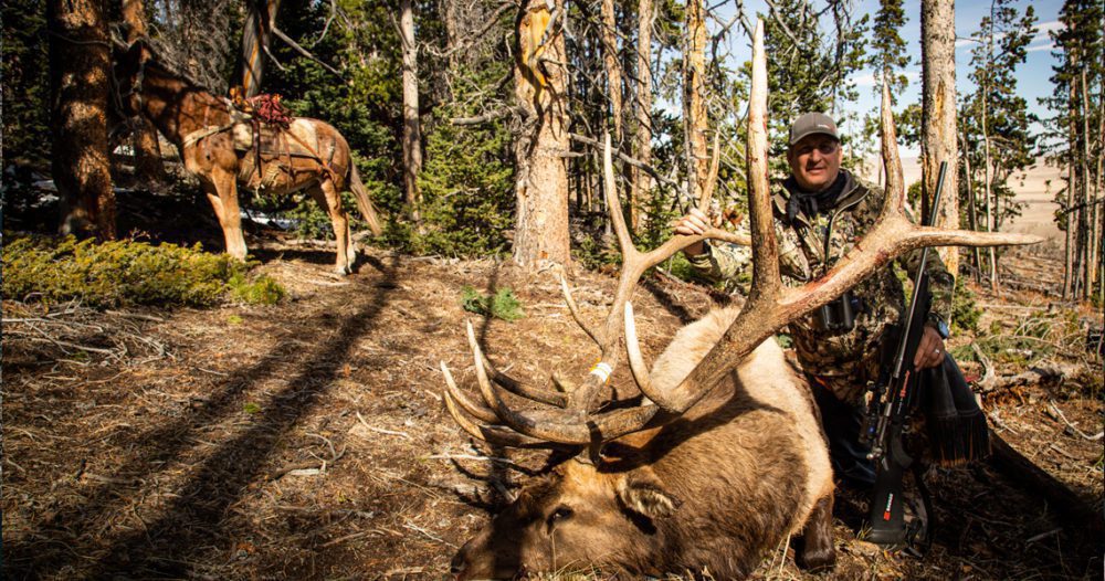 3FindingMoreElk 3FindingMoreElk